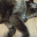 시온목욕탕 이미지