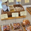 하운드 동대구역점 이미지