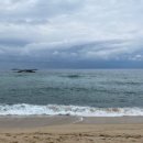 돈마니마니홍보관 이미지