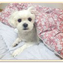 아이조아 요양보호소 서울점 이미지