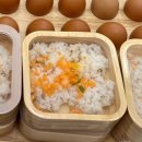 조치원소방서 | 세종샤브샤브 | 호텔식뷔페로 즐길 수 있는 프리미엄샤브샤브 [샤브올데이세종조치원점]
