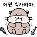 수원-0619 이미지