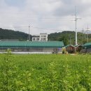 강정보여울 협동조합 이미지