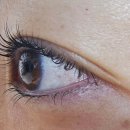 아이홀릭 이미지