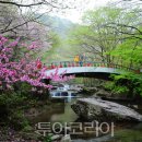 순창봄 이미지