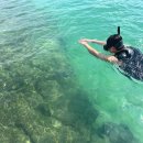 포구로2L 이미지