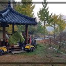 예봉로(녹전면) 이미지