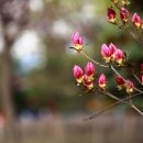 중산근린공원 이미지