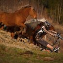 하오개로 이미지