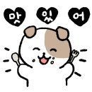 미란칼국수 이미지