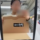퍼스널컬러 상세후기 / 이미지 호 홍대점/ 봄라이트