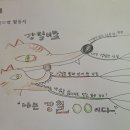 상국농장 이미지