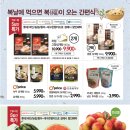 쇼핑초이스 이미지