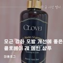 클로베이 네이버블로그