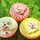 상담실습 | 서울 펫푸드학원 비용 상담+4주간 실습 받은 후기