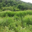 광개토부동산중개사무소 이미지