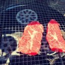 늘푸른숲 이미지