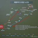 (제858차) 두타산 베틀바위산성길, 두타협곡 마천루 (2024.06.15) - 박이산악회 이미지