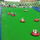 장흥 자연휴양림 이미지