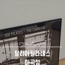 독립-18-04 | 순산 준비 <달리아 필라테스> 마곡 임산부필라테스에서 붓기 싹 뺀 솔직 후기