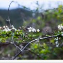 김찬우농장 이미지