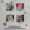 라비동물병원 네이버블로그