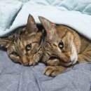 별난 돈돈 이미지