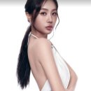 소유 마이데일리