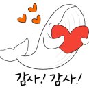 궁전상회 이미지