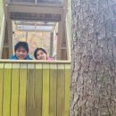 서윤의숲길 이미지