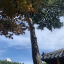 사임당커피숍