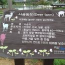 촐리 이미지
