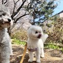 바우스쿨 이미지