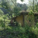 태림시술원 이미지