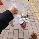 누나버거 | 수원 수제버거 맛집｜버거307 수원시청역점 포장 후기 (산책 후 가족과 함께한 햄버거 타임)