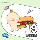 서초대로26길 7 | [19주차 임산부] 청진기로 심장소리를 들을 수 있다?!