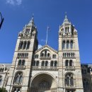 코리안집시 | 8월의 유럽여행 _ 영국편 (2)