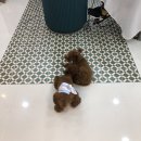 태자미용실 이미지
