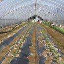 동연농장 이미지