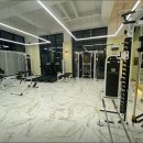 동기부여짐 이미지