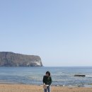 [제주] 220316 하루 꽈악 채워서 알차게 다녀온 제주도 뚜벅이 당일치기 여행 Part.1_제주공항파리...