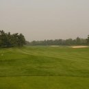 골프이야기 이미지