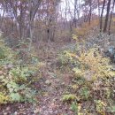 인태농장 이미지