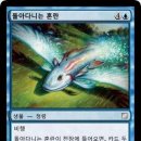 어화 Daum카페