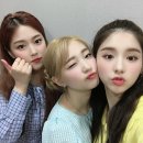 니어앤디어 이미지