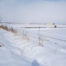 예당축사 이미지