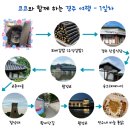 진주외국어고등학교 | 애견 동반 2박 3일 경주 여행 1일차 후기