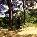 내서4(청주) 이미지