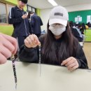 만성중학교 이미지