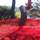 인삼랜드휴게소 이미지